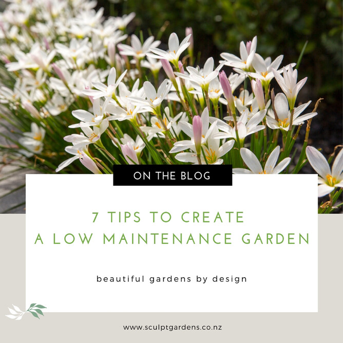 7 Tips To Create A Low Maintenance Garden - Low Maintenance Garden Plants Nz 7 Tips To Create A Low Maintenance Garden - Low Maintenance Garden Plants Nz